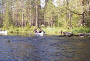 IMGP0842